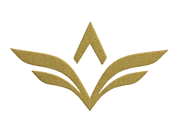 Luxury aircraft detailing